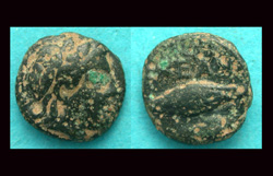 Troas. Neandria, Apollo and Barley Grain, Rare!